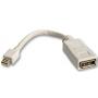Przejściówka (adapter) gn. DisplayPort - Mini Displayport Lindy 41022 - 0,2m